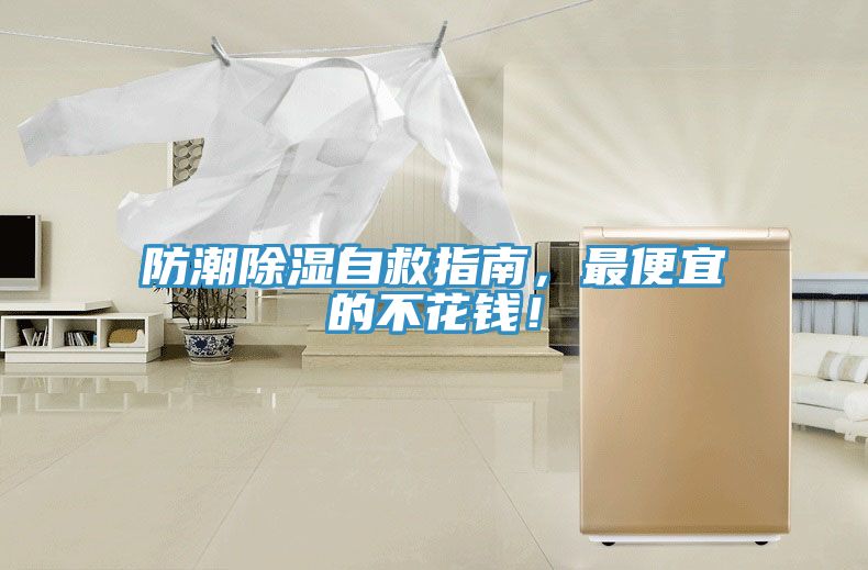 防潮除濕自救指南，最便宜的不花錢！