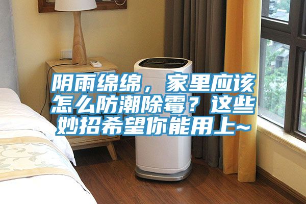 陰雨綿綿，家里應該怎么防潮除霉？這些妙招希望你能用上~