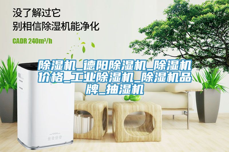 除濕機(jī)_德陽除濕機(jī)_除濕機(jī)價格_工業(yè)除濕機(jī)_除濕機(jī)品牌_抽濕機(jī)