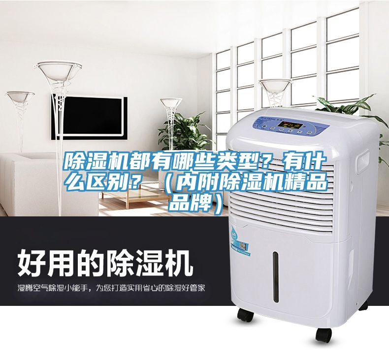 除濕機都有哪些類型？有什么區(qū)別？（內(nèi)附除濕機精品品牌）