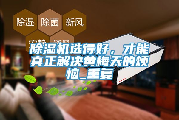 除濕機選得好，才能真正解決黃梅天的煩惱_重復(fù)