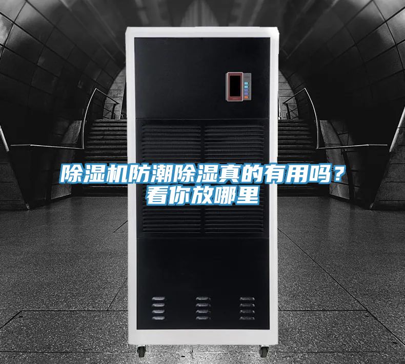 除濕機(jī)防潮除濕真的有用嗎？看你放哪里