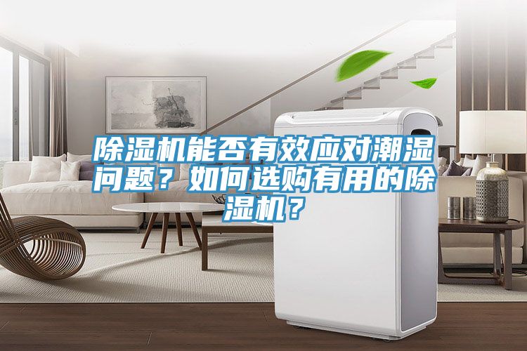 除濕機能否有效應對潮濕問題？如何選購有用的除濕機？