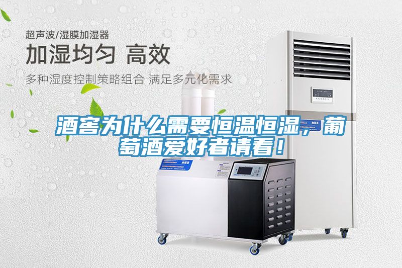 酒窖為什么需要恒溫恒濕，葡萄酒愛好者請看！