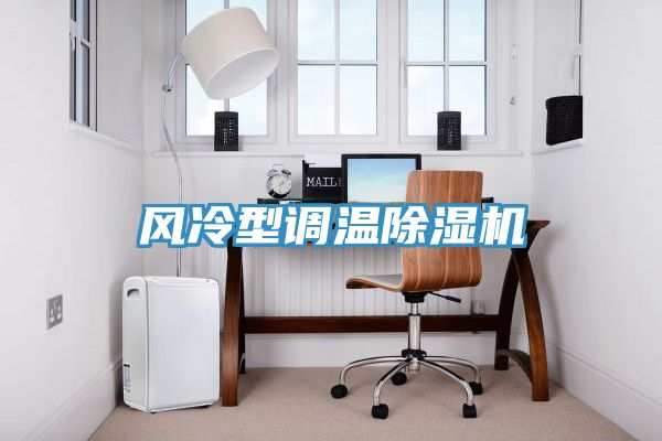 風冷型調(diào)溫除濕機