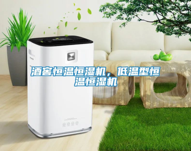 酒窖恒溫恒濕機，低溫型恒溫恒濕機