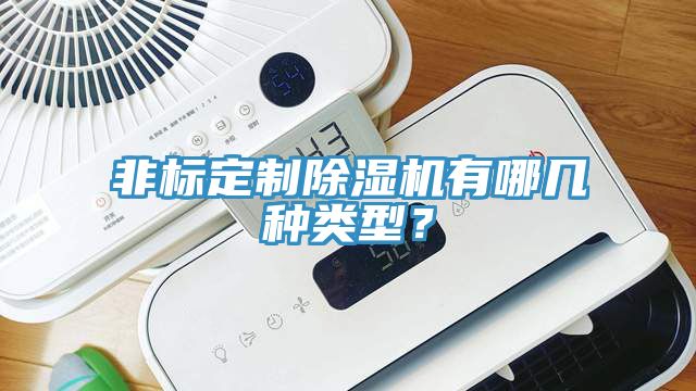 非標(biāo)定制除濕機(jī)有哪幾種類型？