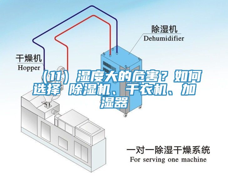 （11）濕度大的危害？如何選擇 除濕機、干衣機、加濕器