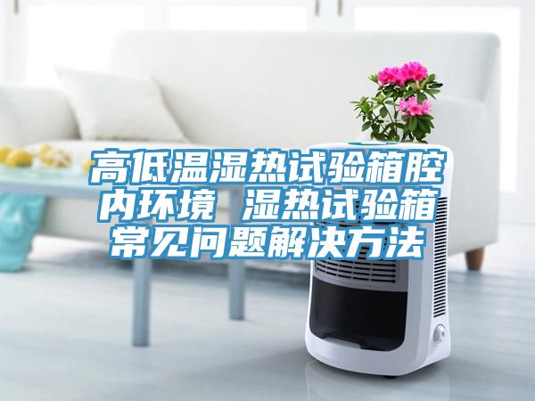 高低溫濕熱試驗箱腔內環(huán)境 濕熱試驗箱常見問題解決方法