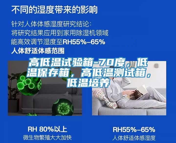 高低溫試驗箱-70度，低溫保存箱，高低溫測試箱，低溫培養(yǎng)