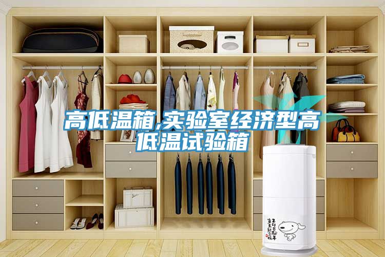 高低溫箱,實驗室經(jīng)濟(jì)型高低溫試驗箱