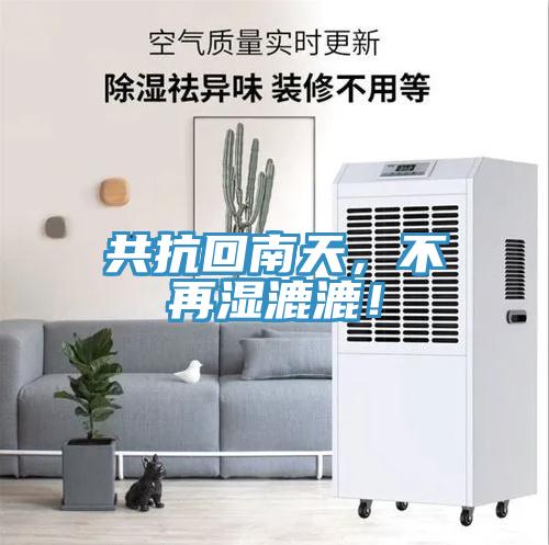 共抗回南天，不再濕漉漉！