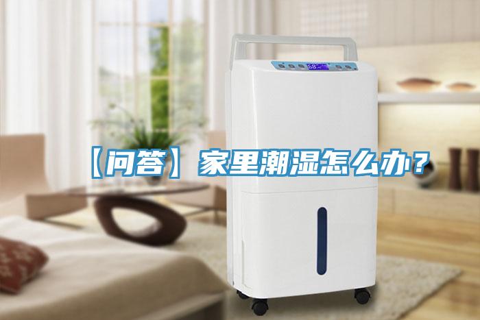 【問答】家里潮濕怎么辦？