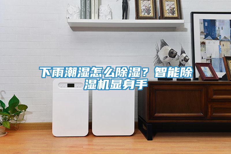 下雨潮濕怎么除濕？智能除濕機(jī)顯身手