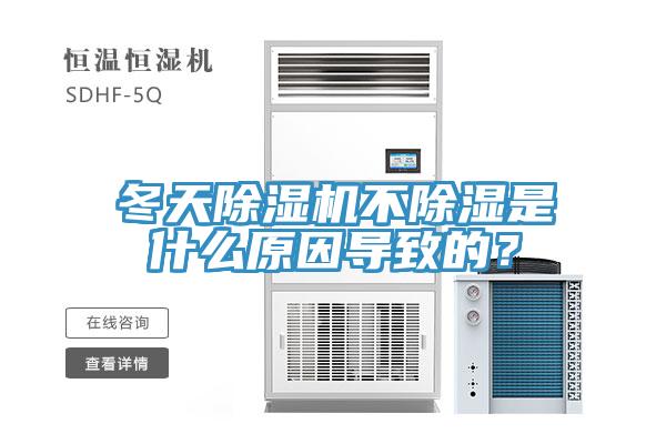 冬天除濕機不除濕是什么原因?qū)е碌模?/></p>
                            <p style=