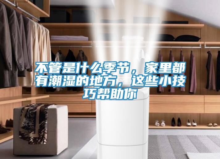 不管是什么季節(jié)，家里都有潮濕的地方，這些小技巧幫助你