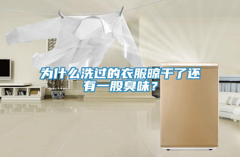 為什么洗過的衣服晾干了還有一股臭味？