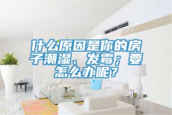 什么原因是你的房子潮濕、發(fā)霉；要怎么辦呢？