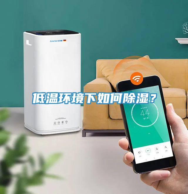 低溫環(huán)境下如何除濕？