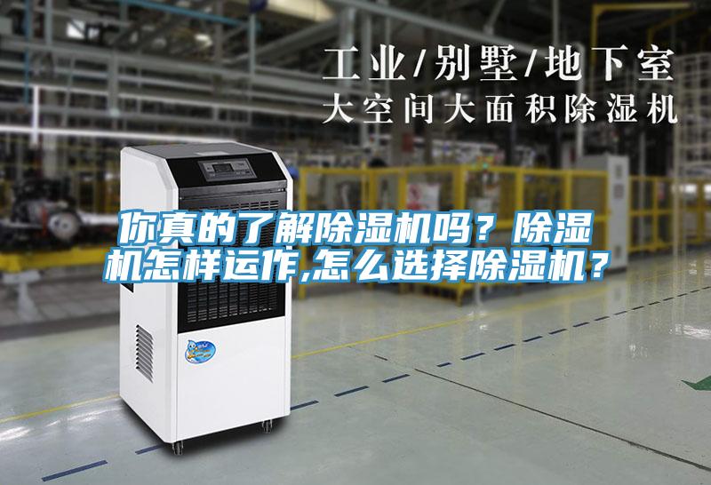 你真的了解除濕機(jī)嗎？除濕機(jī)怎樣運(yùn)作,怎么選擇除濕機(jī)？