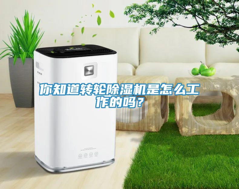 你知道轉(zhuǎn)輪除濕機(jī)是怎么工作的嗎？