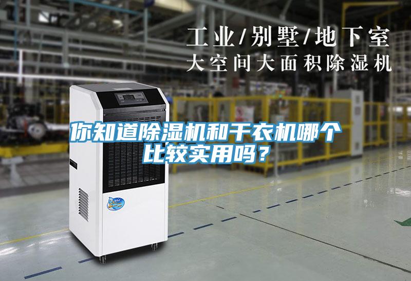 你知道除濕機(jī)和干衣機(jī)哪個(gè)比較實(shí)用嗎？