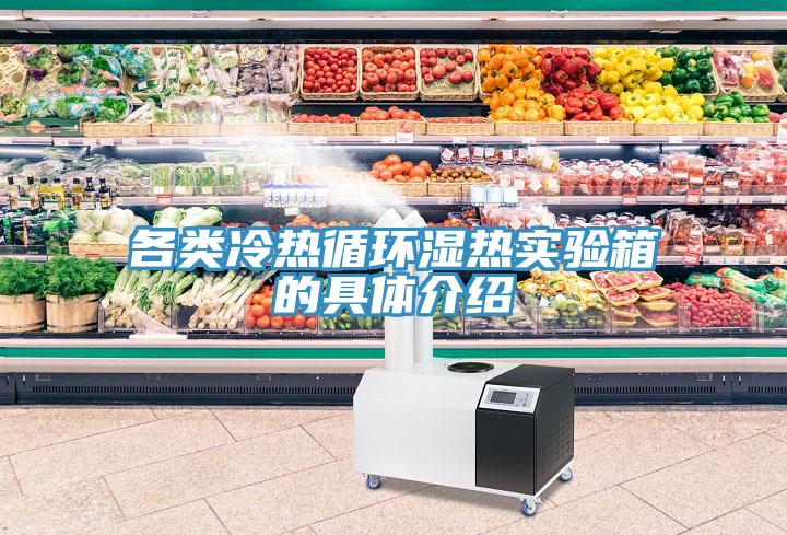 各類冷熱循環(huán)濕熱實驗箱的具體介紹