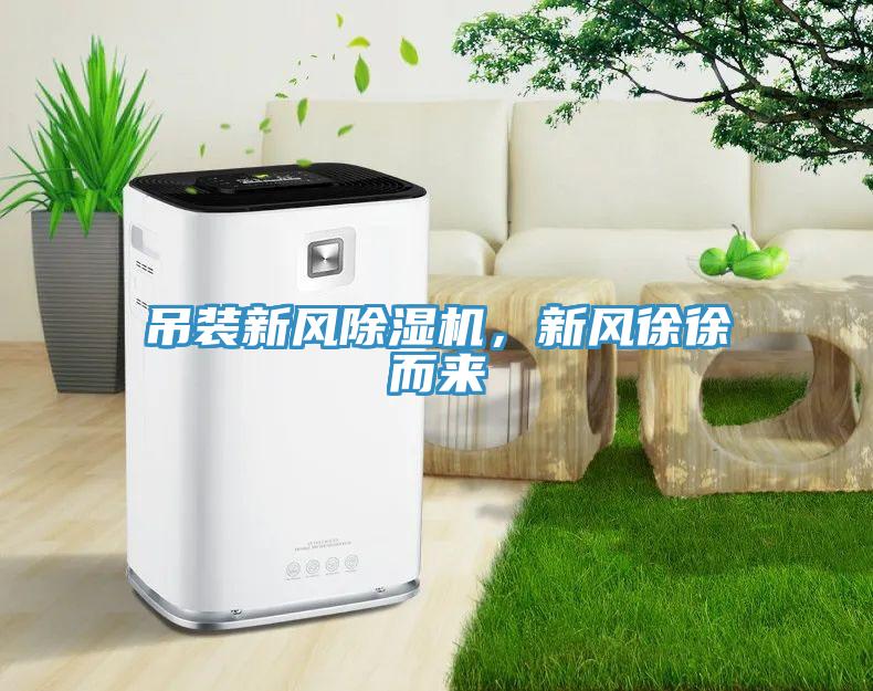 吊裝新風(fēng)除濕機(jī)，新風(fēng)徐徐而來