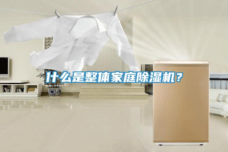 什么是整體家庭除濕機(jī)？