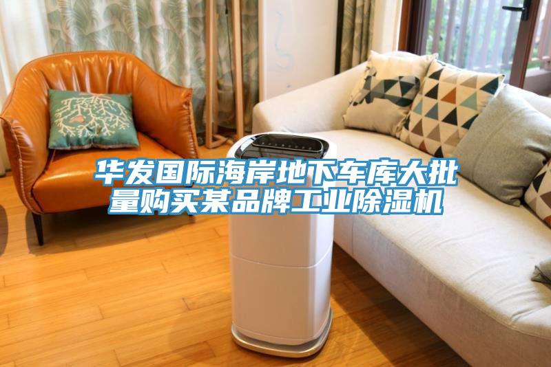 華發(fā)國(guó)際海岸地下車庫(kù)大批量購(gòu)買某品牌工業(yè)除濕機(jī)