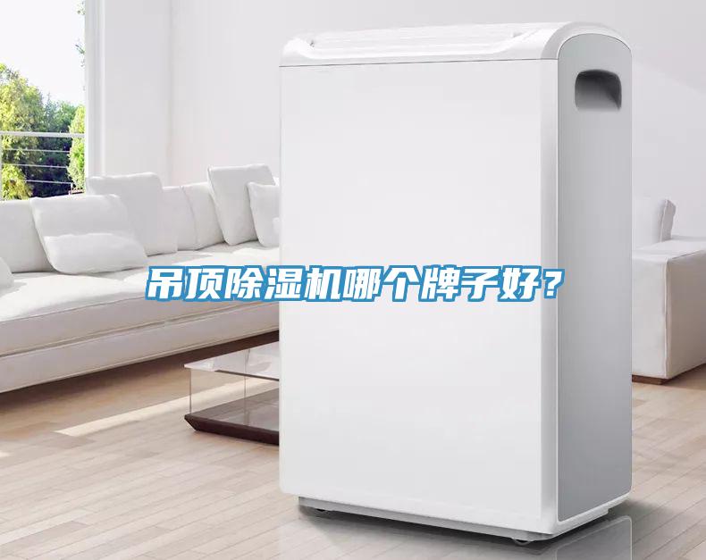 吊頂除濕機哪個牌子好？
