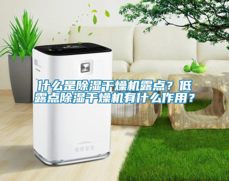 什么是除濕干燥機(jī)露點？低露點除濕干燥機(jī)有什么作用？