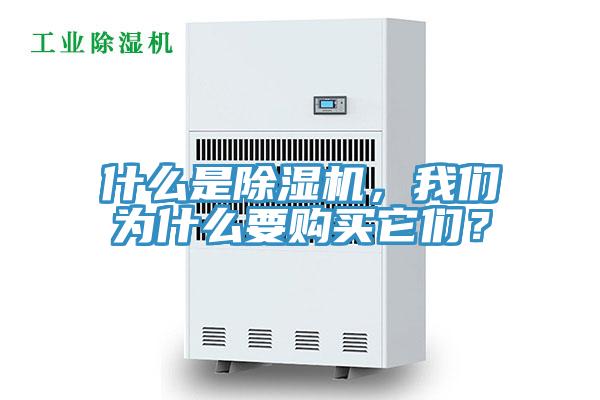 什么是除濕機(jī)，我們?yōu)槭裁匆徺I它們？