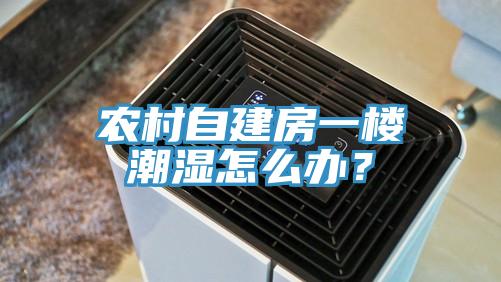 農(nóng)村自建房一樓潮濕怎么辦？