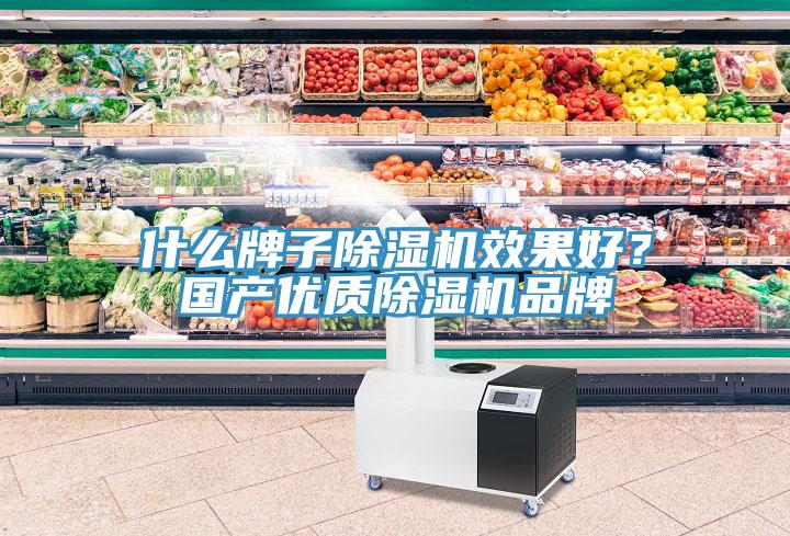 什么牌子除濕機(jī)效果好？國產(chǎn)優(yōu)質(zhì)除濕機(jī)品牌