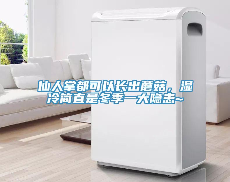 仙人掌都可以長出蘑菇，濕冷簡直是冬季一大隱患~