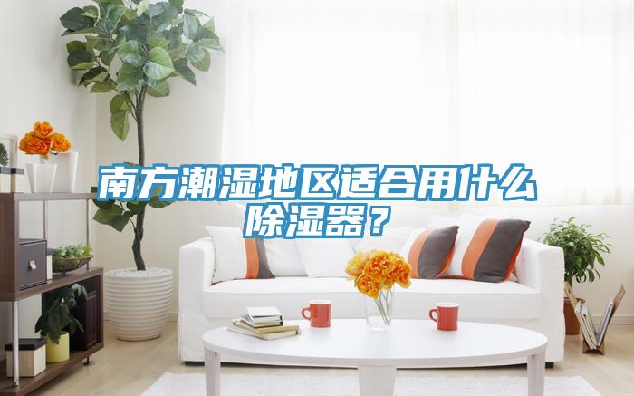 南方潮濕地區(qū)適合用什么除濕器?