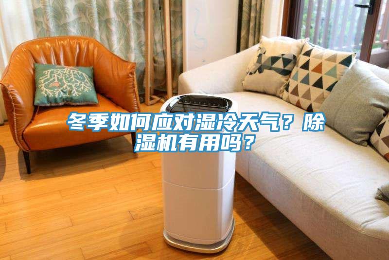 冬季如何應(yīng)對(duì)濕冷天氣？除濕機(jī)有用嗎？