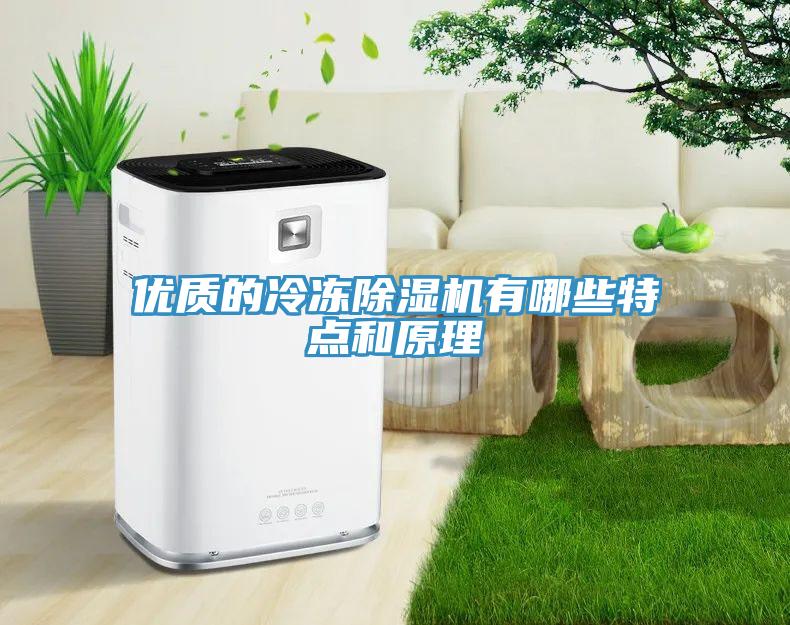 優(yōu)質(zhì)的冷凍除濕機(jī)有哪些特點(diǎn)和原理
