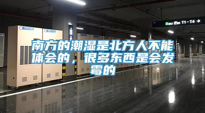 南方的潮濕是北方人不能體會的，很多東西是會發(fā)霉的