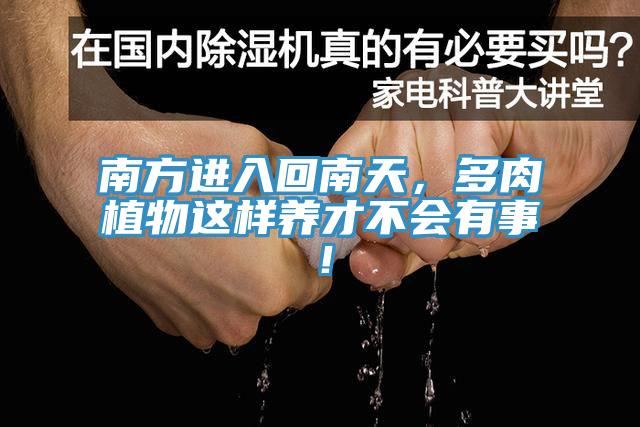 南方進(jìn)入回南天，多肉植物這樣養(yǎng)才不會(huì)有事！