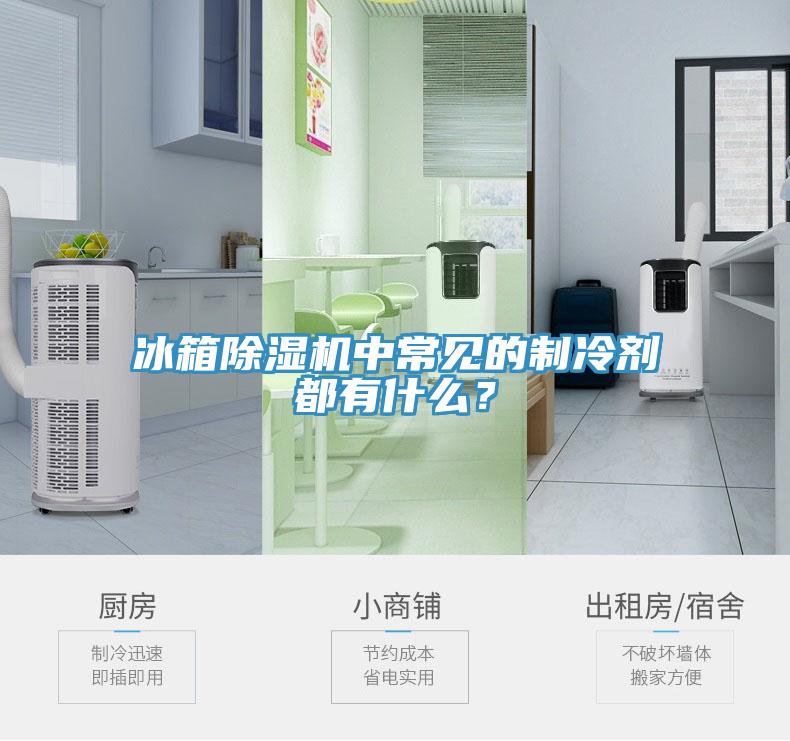 冰箱除濕機中常見的制冷劑都有什么？