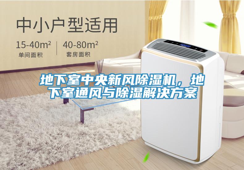 地下室中央新風除濕機，地下室通風與除濕解決方案