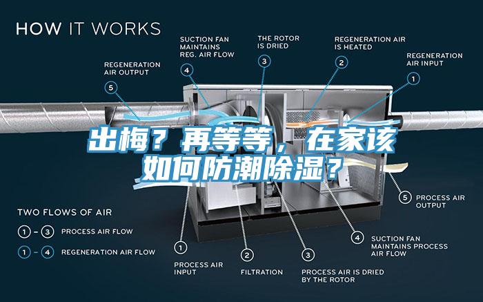 出梅？再等等，在家該如何防潮除濕？