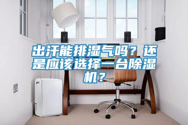 出汗能排濕氣嗎？還是應(yīng)該選擇一臺(tái)除濕機(jī)？