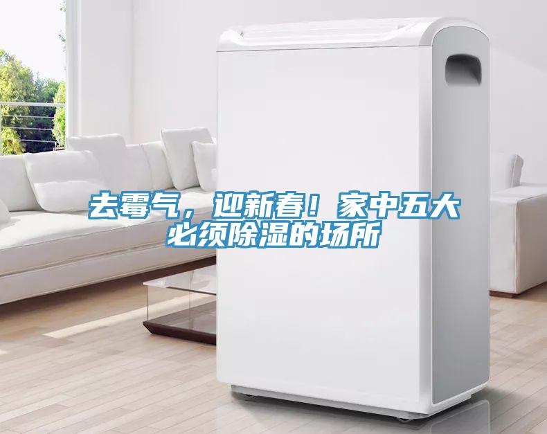 去霉氣，迎新春！家中五大必須除濕的場所