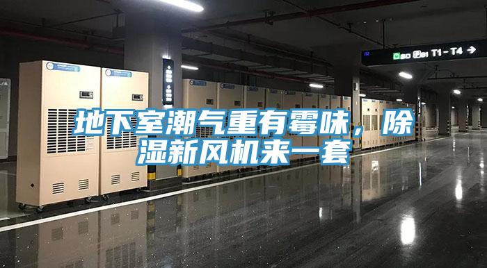 地下室潮氣重有霉味，除濕新風(fēng)機(jī)來(lái)一套