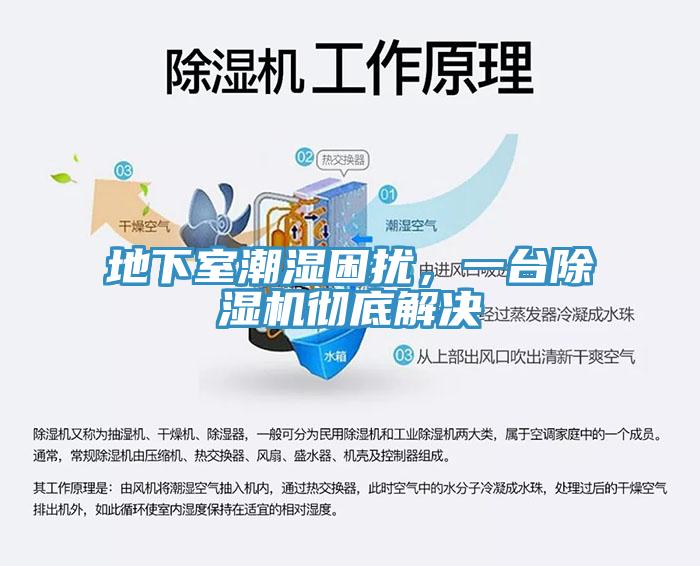 地下室潮濕困擾，一臺(tái)除濕機(jī)徹底解決