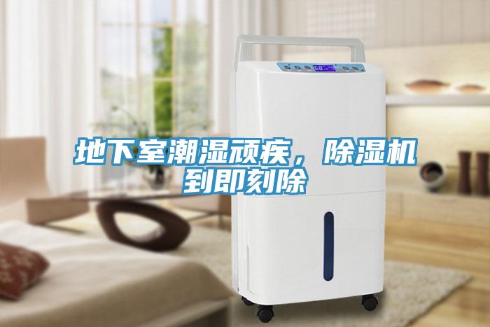 地下室潮濕頑疾，除濕機(jī)到即刻除