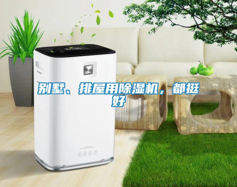 別墅、排屋用除濕機(jī)，都挺好